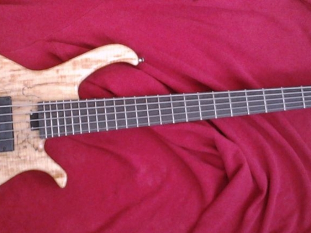 Eclisse Basic Electric Bass Lutherie LEGG 5 Strings Spalted
