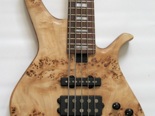 Eclisse SQ Electric Bass Lutherie LEGG 5 Strings Elm Briar